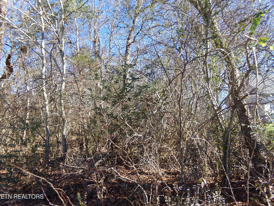 2nd image of 1037 Goti Dr