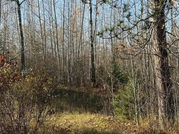 93359 State Highway 23, Holyoke, MN 55749