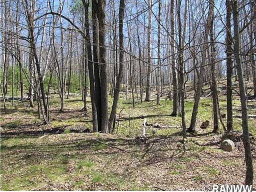5th image of 0 Ole Lake Road