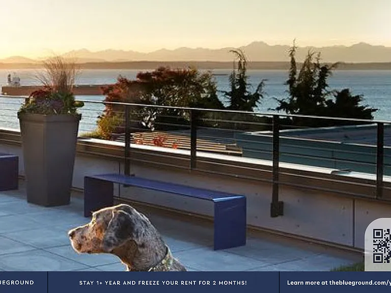 Building's Pet area