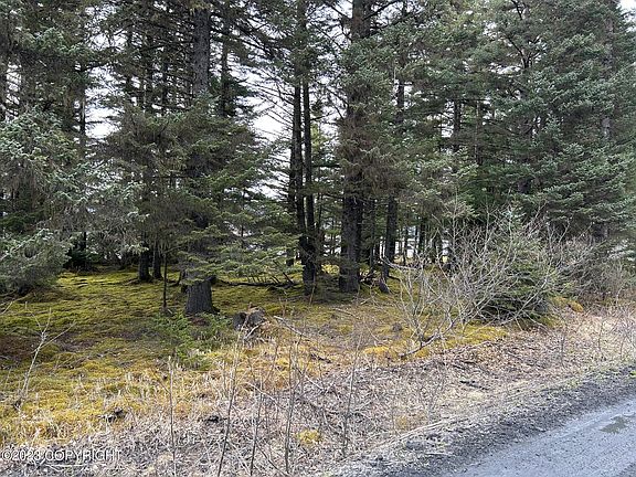 3rd image of 139 Kizhuyak Dr