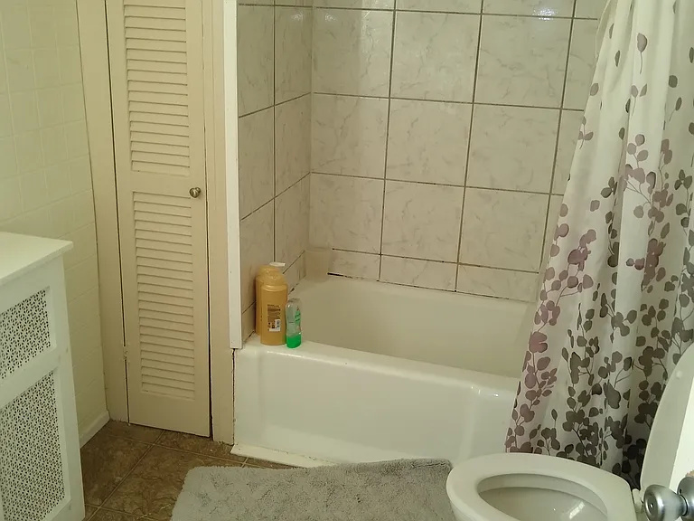410 Hudson Ave #1 — Photo 5