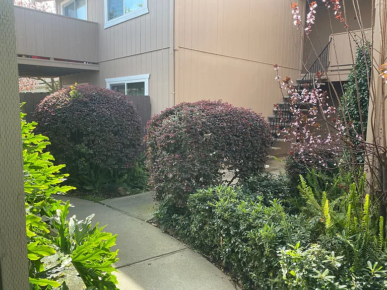 5727 Sutter Ave — Photo 18