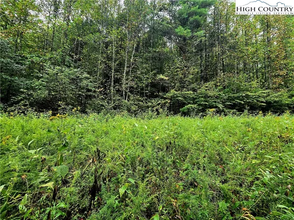 Lot 6 & 7 N. Old NC Hwy 16, Millers Creek, NC 28651