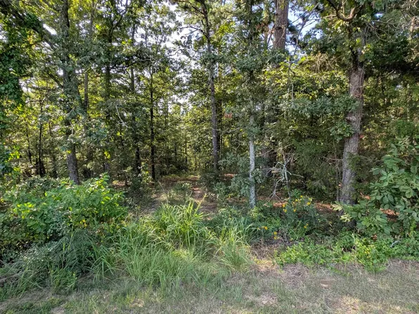 9 Pine Bluff Rd, Conway, AR 72034