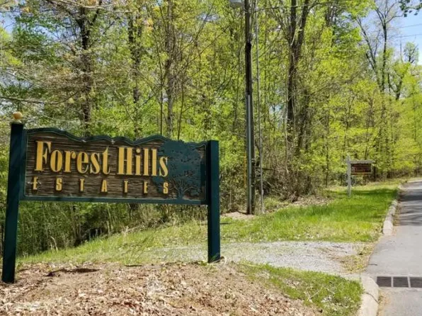 Town Road 20 Mountain Laurel Ct, Unicoi, TN 37692