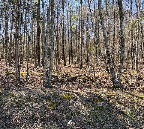 5th image of 235 County Rd Lot 2