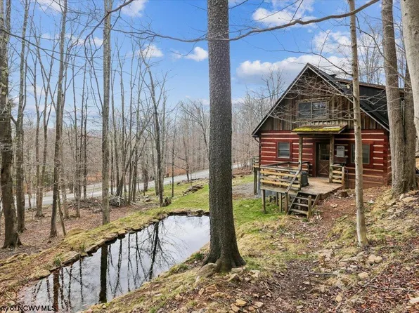 54 Cabin Mountain Rd, Davis, WV 26260