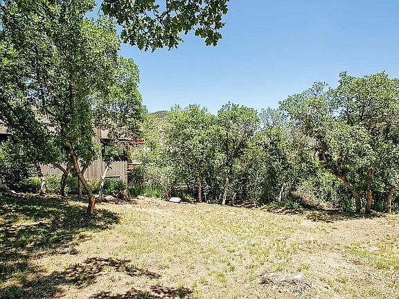 Shared natural landscape backyard.