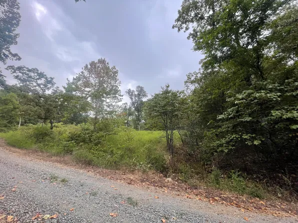 000 Fernwood Drive, Theodosia, MO 65761