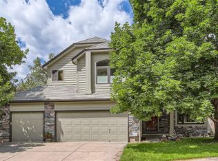 1014 Meadow Run, Golden, CO 80403
