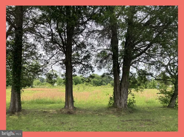 Longview Blvd, Bushwood, MD 20618