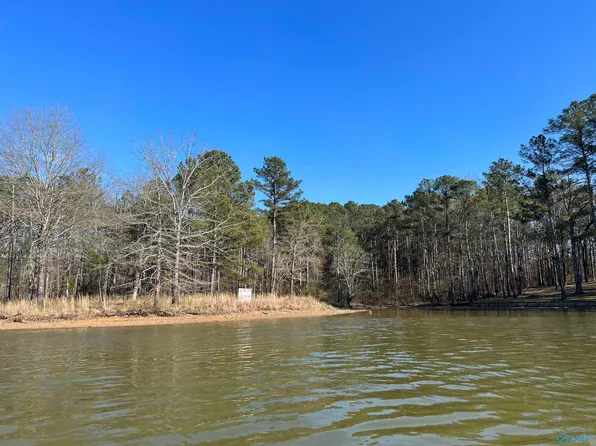 661 County Road 189, Cedar Bluff, AL 35959