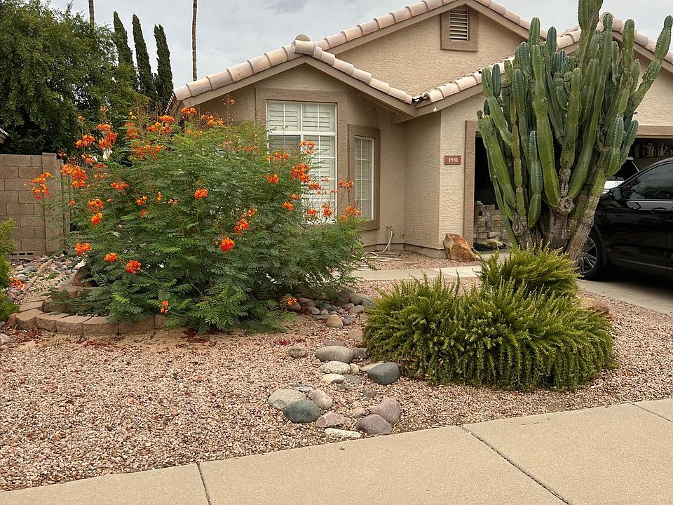 Front yard.