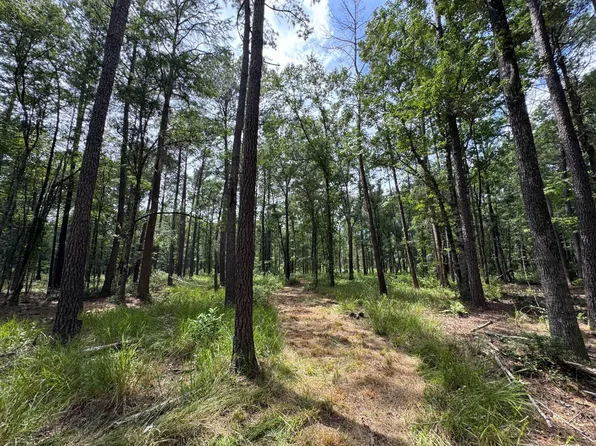 Fox Paw Ct, Branchville, SC 29432