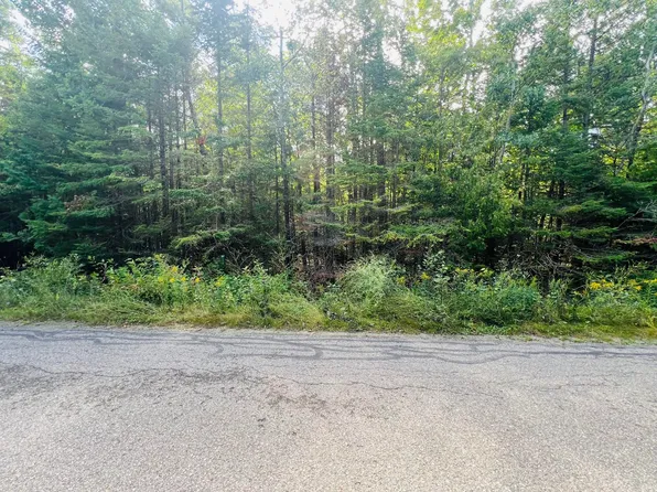 8710 Cordwood Trl, Cheboygan, MI 49721