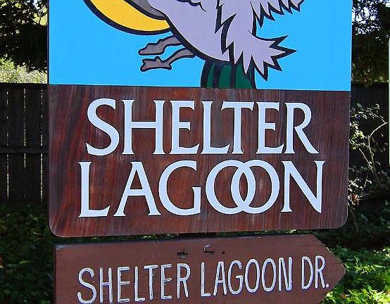 2nd image of 103 Shelter Lagoon Dr