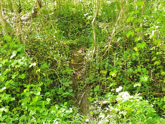 3rd image of 723 Bellamy Hollow Rd