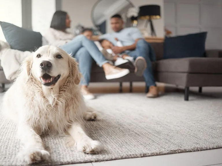 Your furry family members will love our pet friendly community with two onsite dog parks.