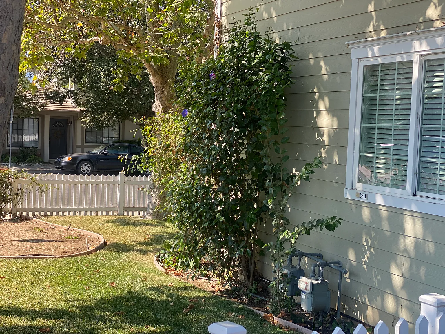 3 bed, 1250 sqft, $4,000 — Photo 2