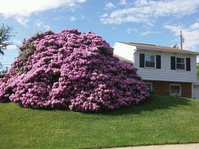 571 Old Orchard Ln, Camp Hill, PA, 17011