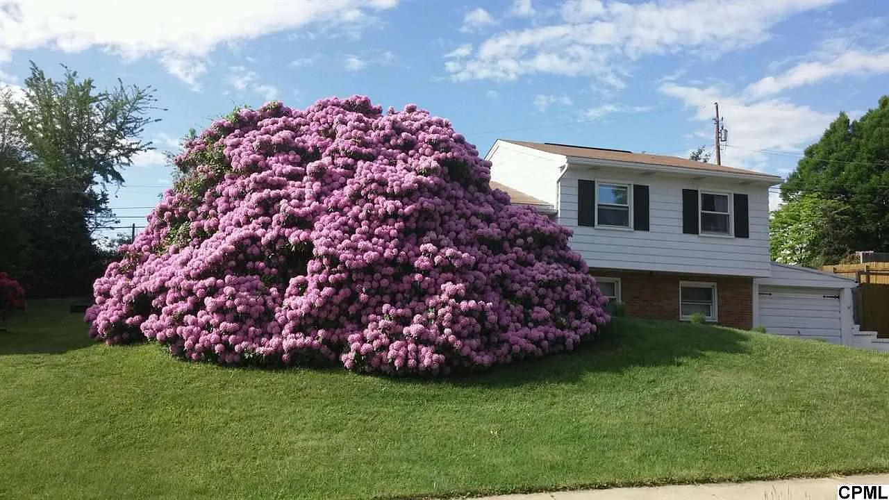571 Old Orchard Ln photo 1