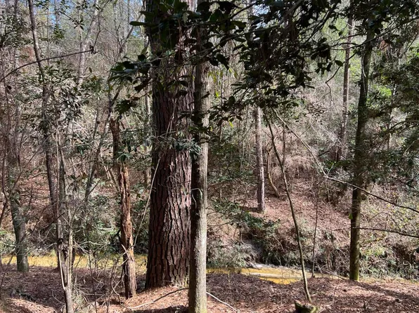 LOT 4 Jack Rd, Laurel Hill, FL 32567