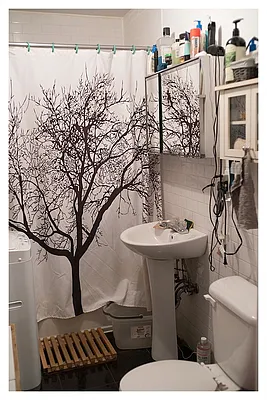 Rented by Opera House Lofts | media 5