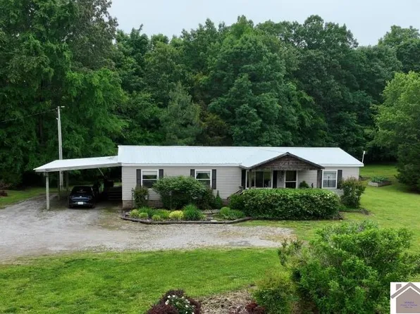 1918 Swan Rd, Farmington, KY 42040