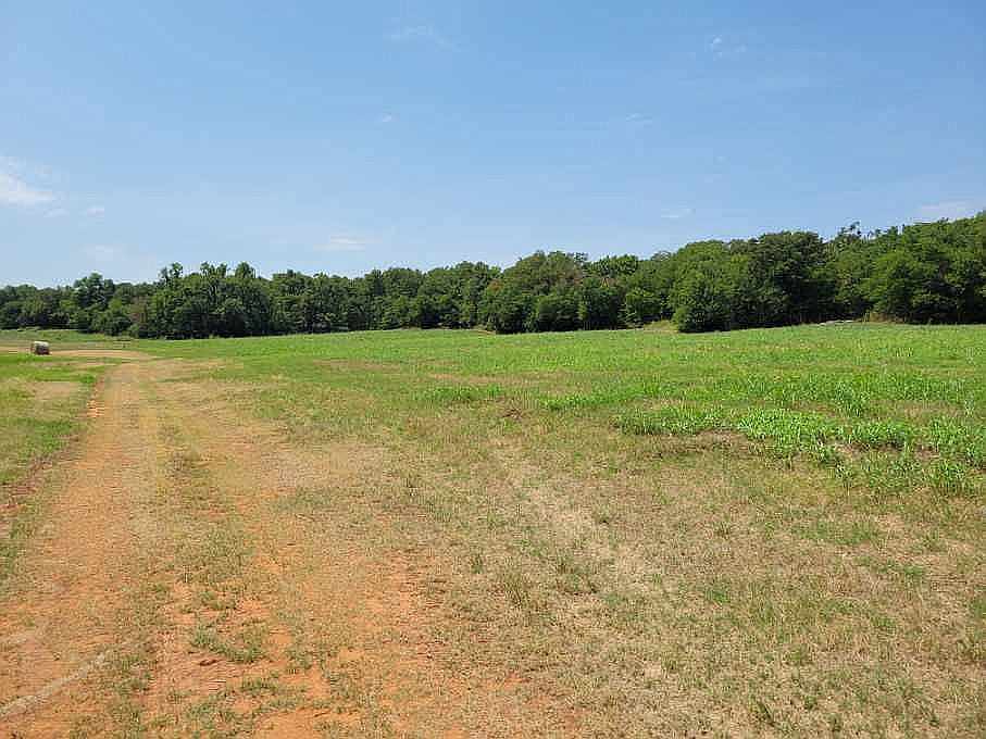 2nd image of Sorghum Mill And N Anderson