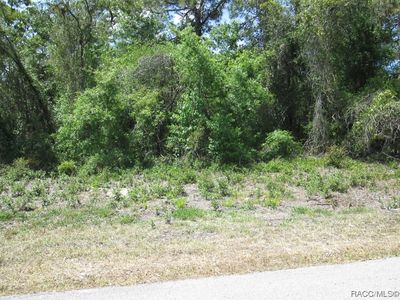 1264 N Nashua Ter, Inverness, FL, 34453