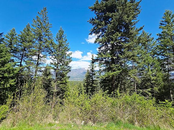 5th image of 93 Wapiti Point Dr