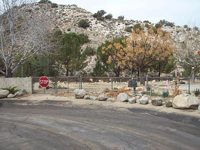 street view02