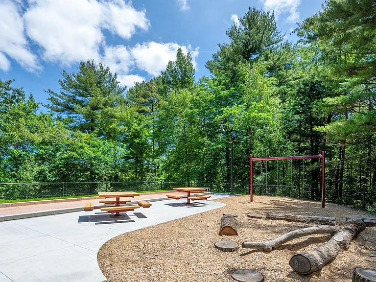 Picnic and Swingset