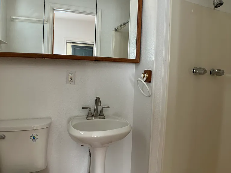 Downstairs Bathroom