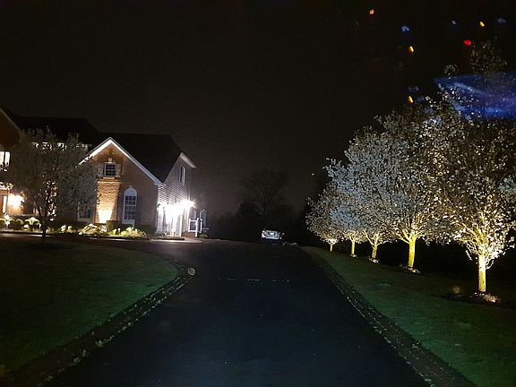 5th image of 710 Bentley Ct