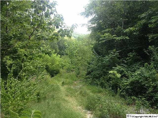 1st image of 1831 Mountainbrook Dr SE