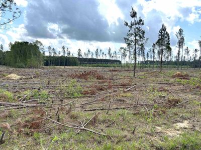 0 Grant County Rd #9, Sheridan, AR, 72150