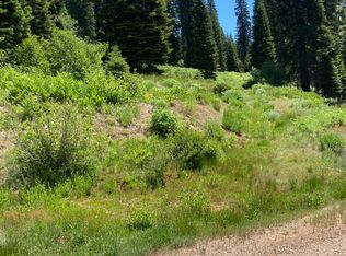 325 Norton Meadows Rd, Bucks Lake, CA 95971