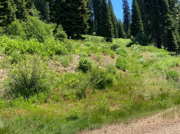 325 Norton Meadows Rd, Bucks Lake, CA 95971