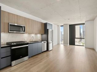 234 W Polk St #1/1, Chicago, IL