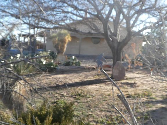 2nd image of 1545 Arroyo Ln #A