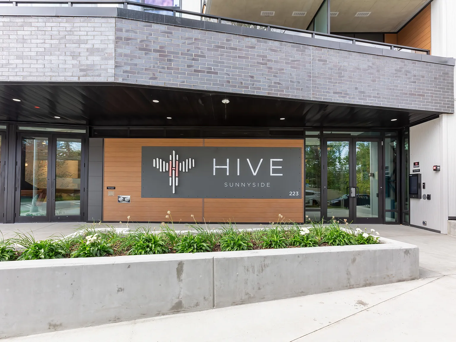 HIVE — Photo 4