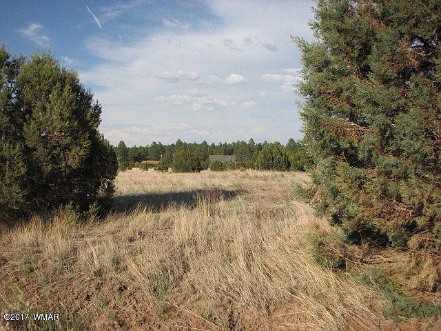 2nd image of 2743 Pine Meadow Dr