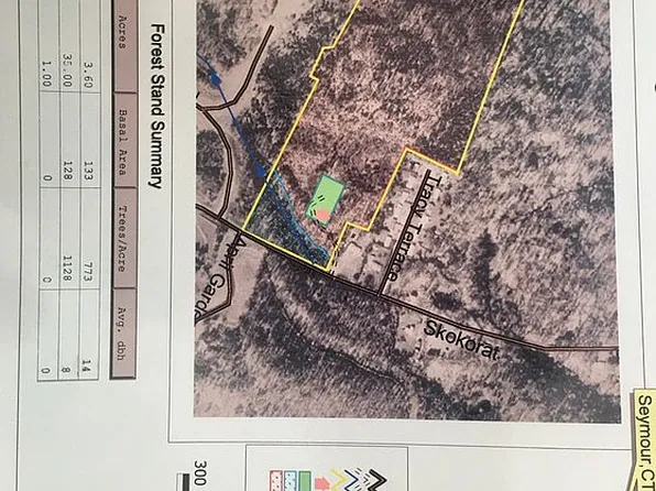 165 Skokorat St, Seymour, CT 06483