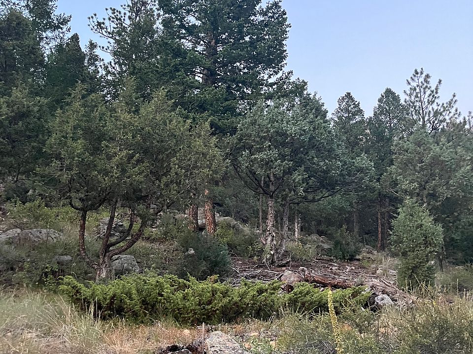 1st image of 9041 N Saint Vrain Dr