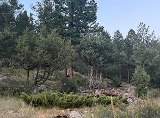 9041 N Saint Vrain Dr, Lyons, CO 80540