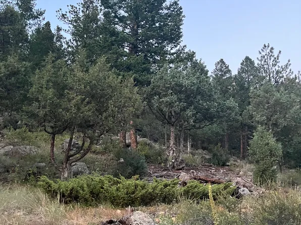 9041 N Saint Vrain Dr, Lyons, CO 80540