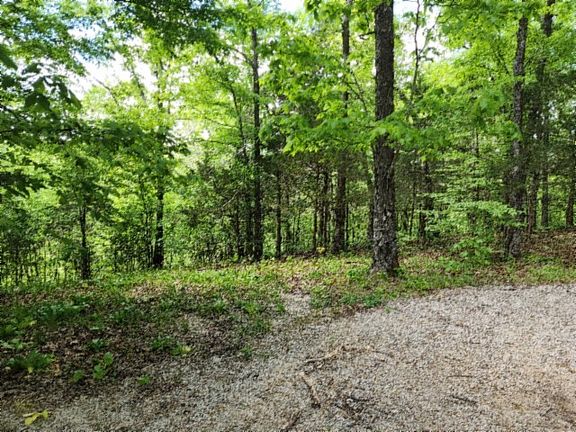 3rd image of 0 Forest Trl Lot 11&12
