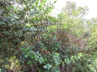 Pahoa Rd LOT 12-A, Kurtistown, HI 96760
